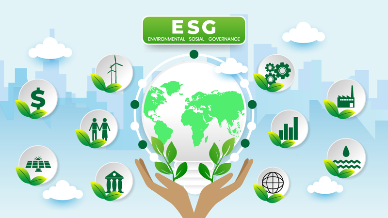 ESG là khái niệm mới với các doanh nghiệp vùng Đồng bằng sông Cửu Long.